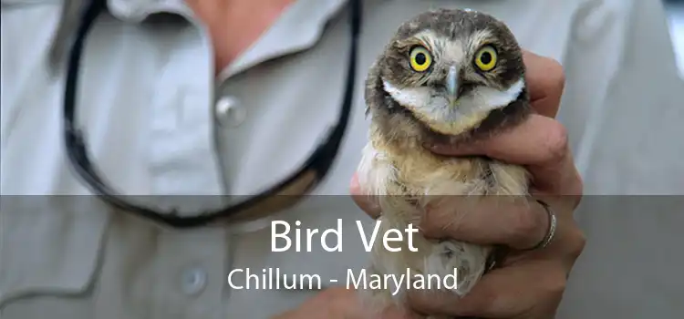 Bird Vet Chillum - Maryland