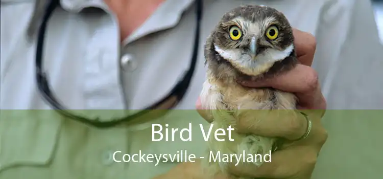 Bird Vet Cockeysville - Maryland