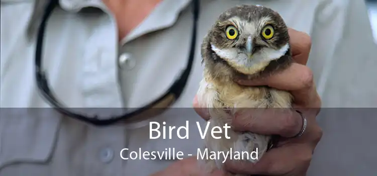 Bird Vet Colesville - Maryland