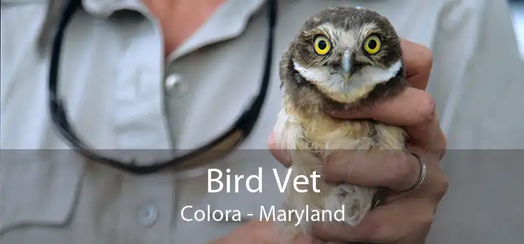 Bird Vet Colora - Maryland