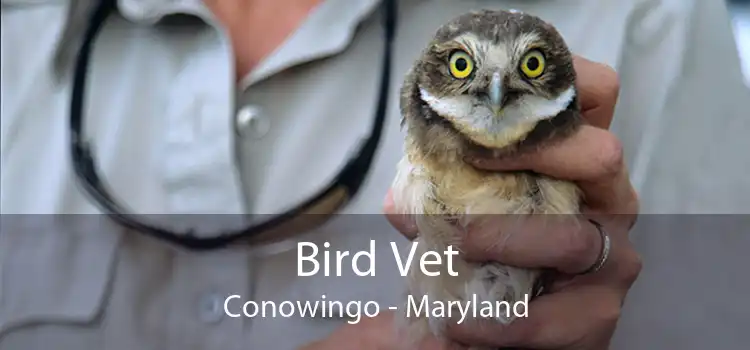 Bird Vet Conowingo - Maryland