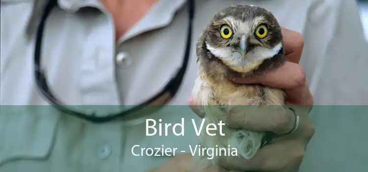 Bird Vet Crozier - Virginia