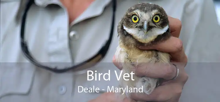 Bird Vet Deale - Maryland