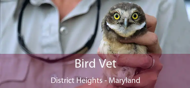 Bird Vet District Heights - Maryland