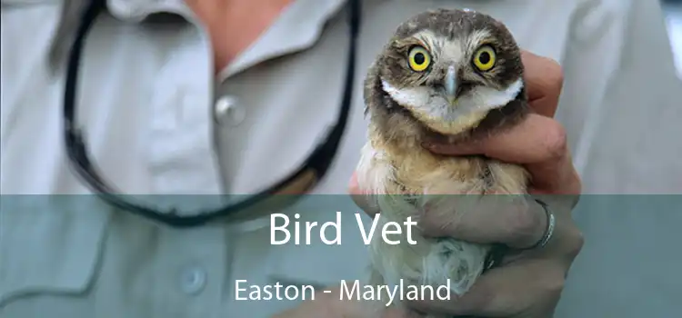 Bird Vet Easton - Maryland