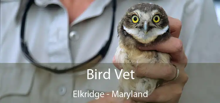 Bird Vet Elkridge - Maryland