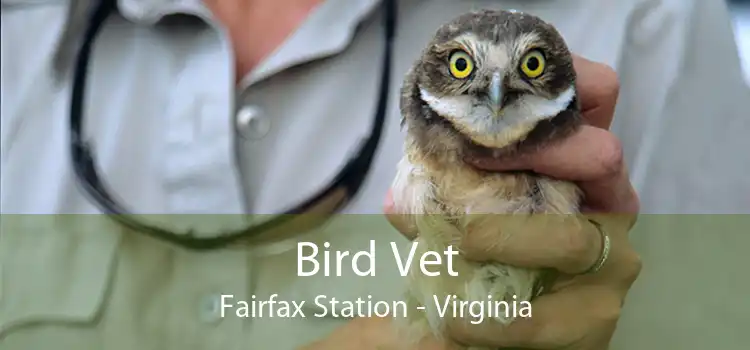 Bird Vet Fairfax Station - Virginia