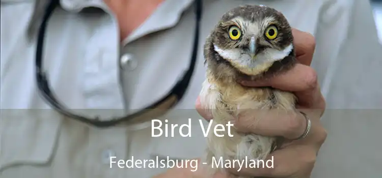Bird Vet Federalsburg - Maryland