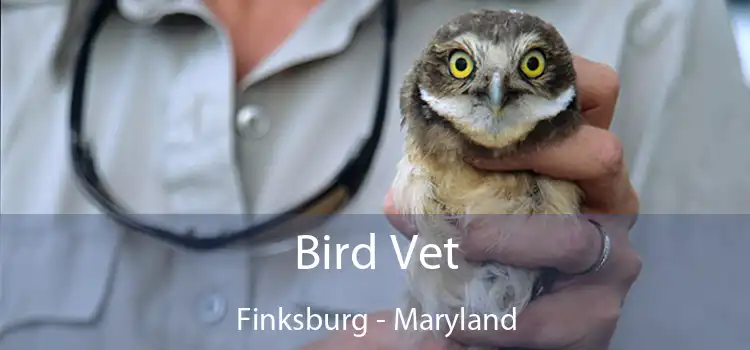 Bird Vet Finksburg - Maryland