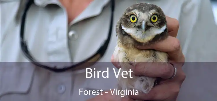 Bird Vet Forest - Virginia