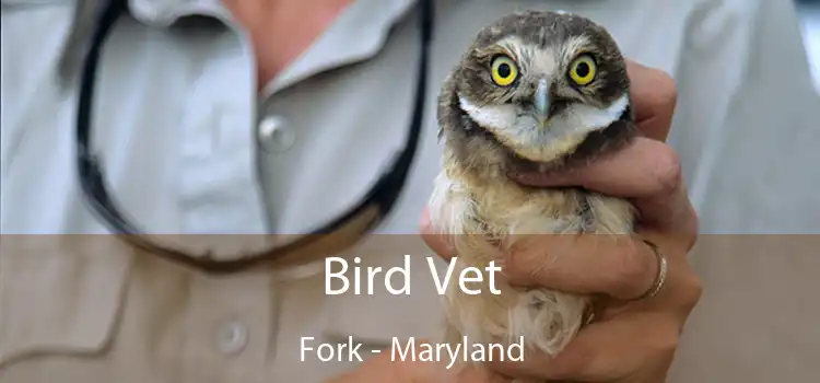 Bird Vet Fork - Maryland