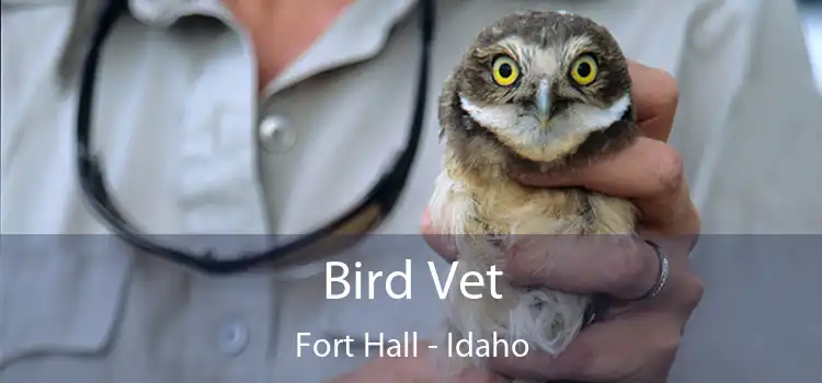 Bird Vet Fort Hall - Idaho