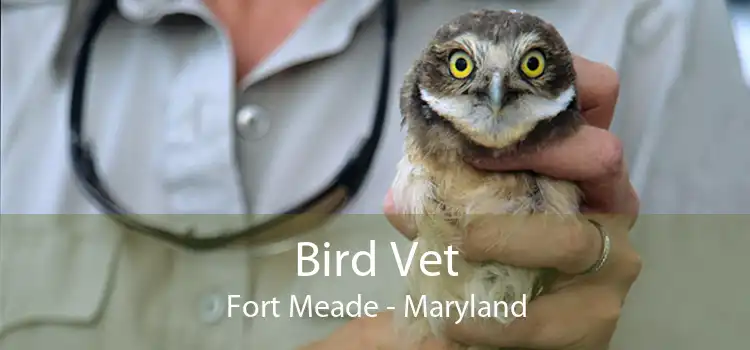 Bird Vet Fort Meade - Maryland