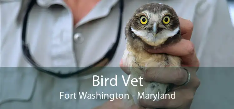 Bird Vet Fort Washington - Maryland