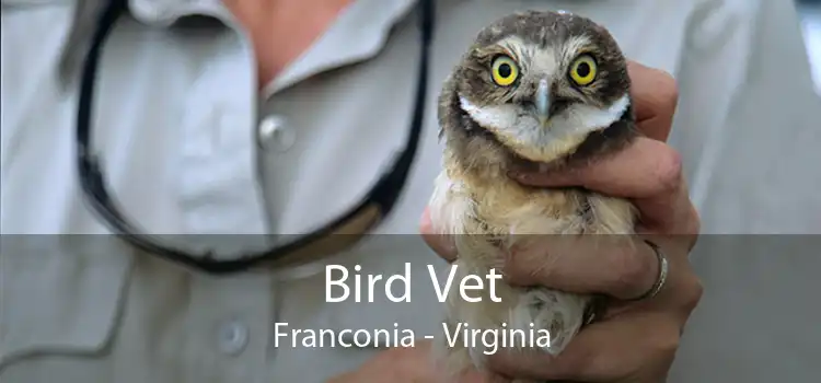 Bird Vet Franconia - Virginia