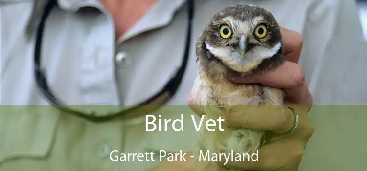 Bird Vet Garrett Park - Maryland