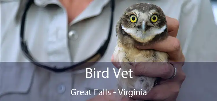 Bird Vet Great Falls - Virginia
