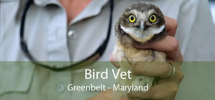 Bird Vet Greenbelt - Maryland