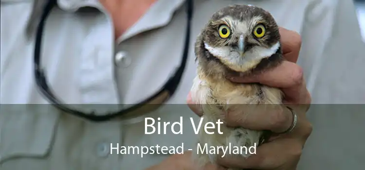 Bird Vet Hampstead - Maryland