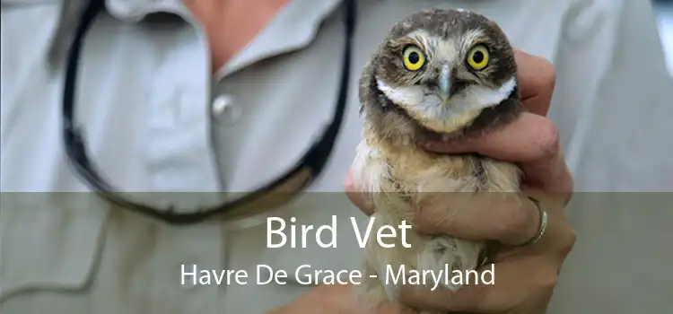 Bird Vet Havre De Grace - Maryland