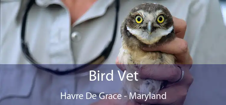 Bird Vet Havre De Grace - Maryland