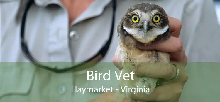 Bird Vet Haymarket - Virginia