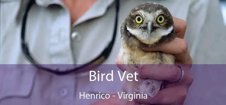 Bird Vet Henrico - Virginia