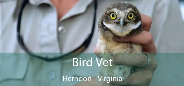 Bird Vet Herndon - Virginia