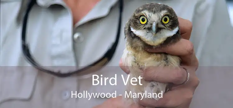 Bird Vet Hollywood - Maryland