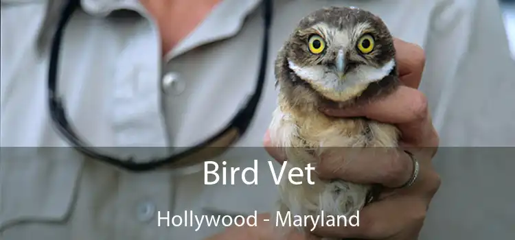 Bird Vet Hollywood - Maryland