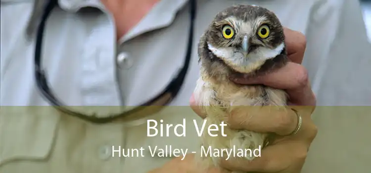 Bird Vet Hunt Valley - Maryland