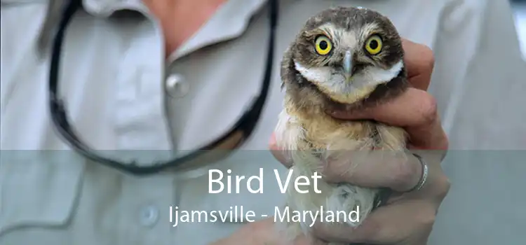 Bird Vet Ijamsville - Maryland