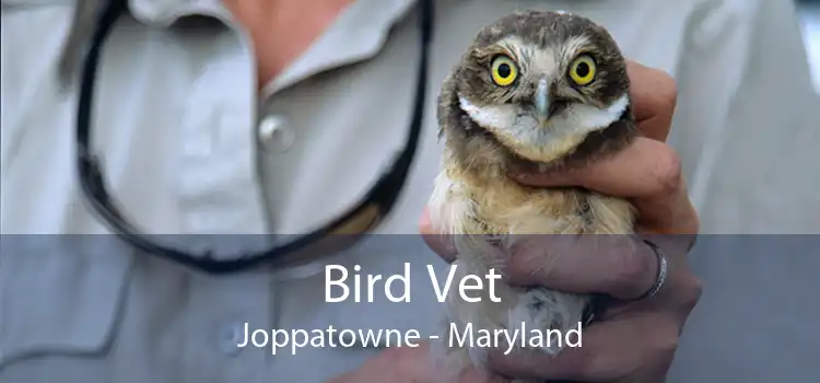 Bird Vet Joppatowne - Maryland