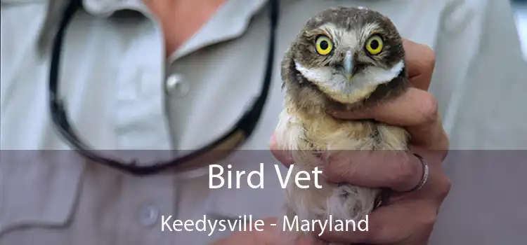 Bird Vet Keedysville - Maryland
