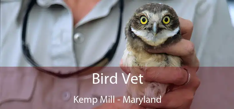 Bird Vet Kemp Mill - Maryland