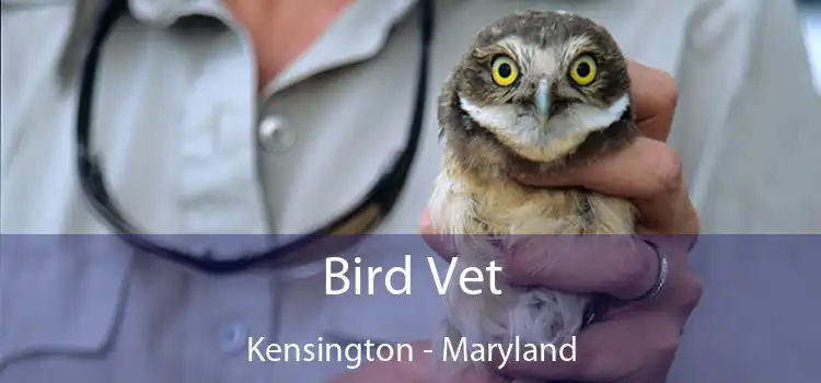 Bird Vet Kensington - Maryland
