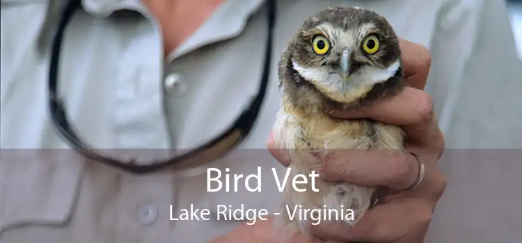 Bird Vet Lake Ridge - Virginia