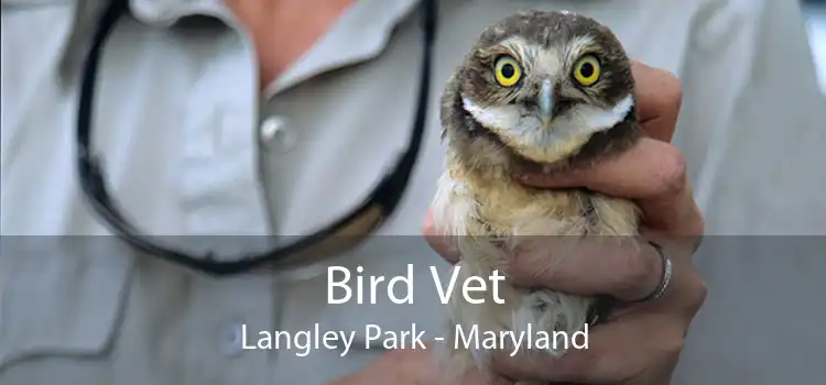 Bird Vet Langley Park - Maryland