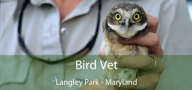 Bird Vet Langley Park - Maryland