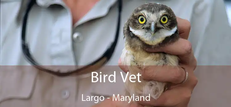 Bird Vet Largo - Maryland