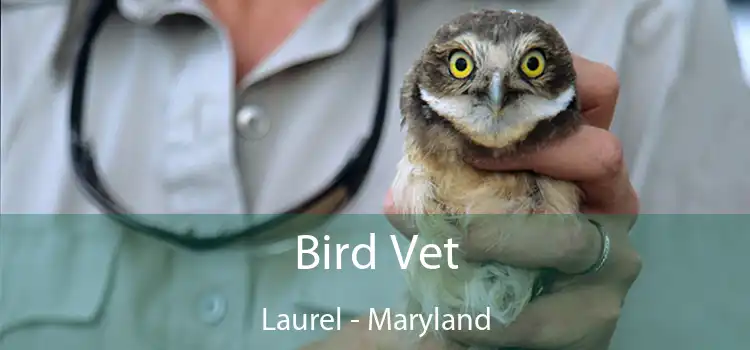Bird Vet Laurel - Maryland