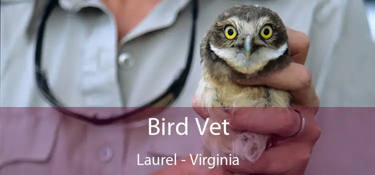 Bird Vet Laurel - Virginia