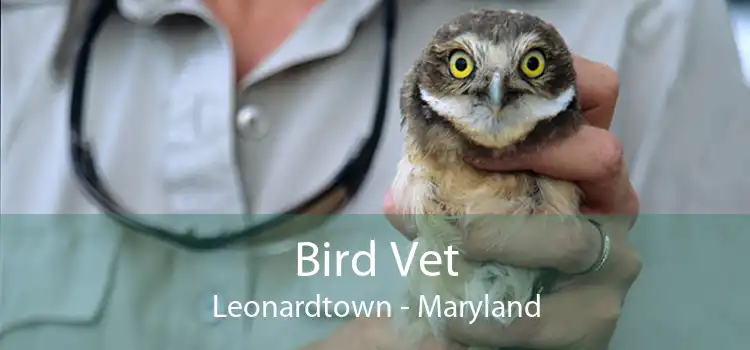 Bird Vet Leonardtown - Maryland