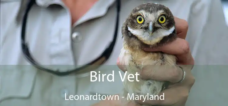 Bird Vet Leonardtown - Maryland