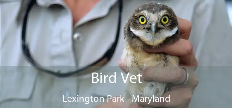 Bird Vet Lexington Park - Maryland