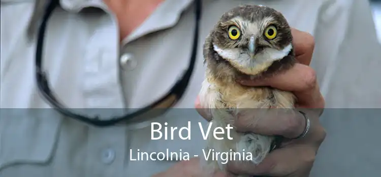 Bird Vet Lincolnia - Virginia