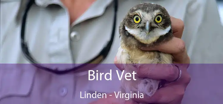 Bird Vet Linden - Virginia