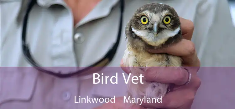 Bird Vet Linkwood - Maryland