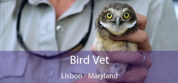 Bird Vet Lisbon - Maryland