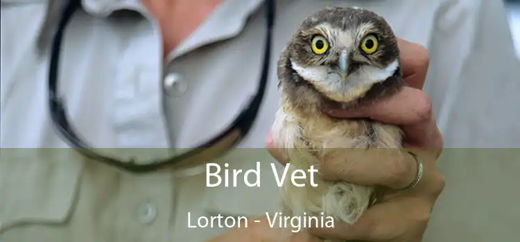 Bird Vet Lorton - Virginia